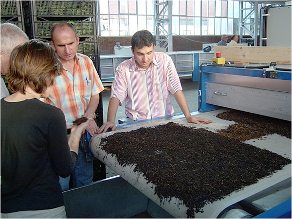Gisip har fått i uppdrag att tillverka utrustning för torkning av te i Turkiet